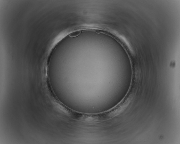 X0000101391365200807141123