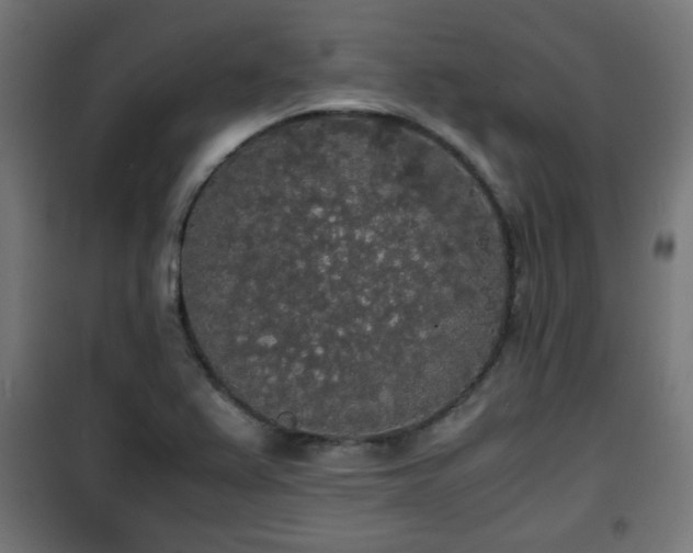 X0000101391367200807141123