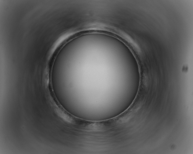 X0000101391368200807141123