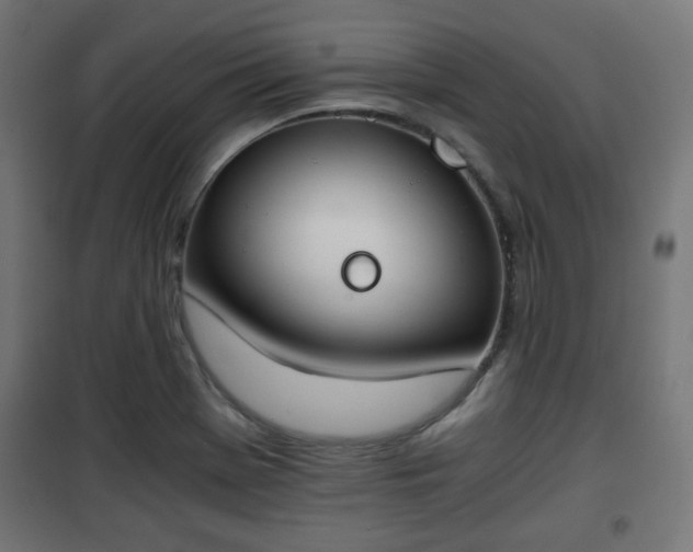 X0000101391369200807141123