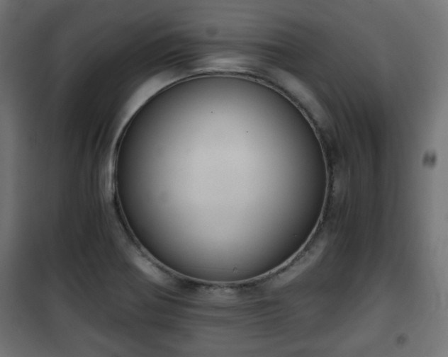 X0000101391370200807141123