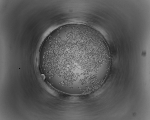 X0000101391371200807141123