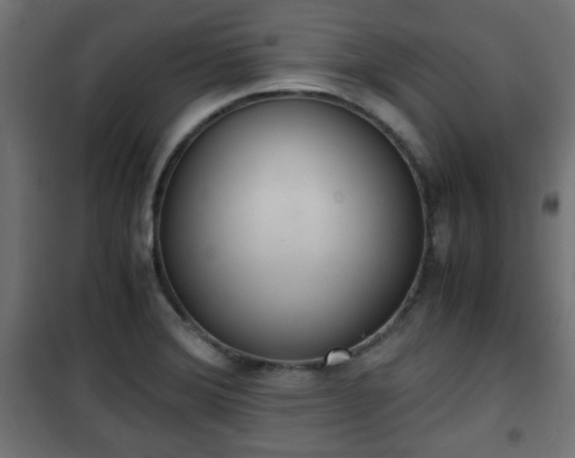 X0000101391372200807141123