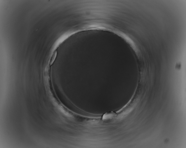 X0000101391373200807141123