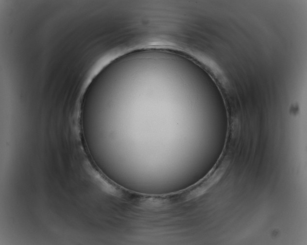 X0000101391374200807141123