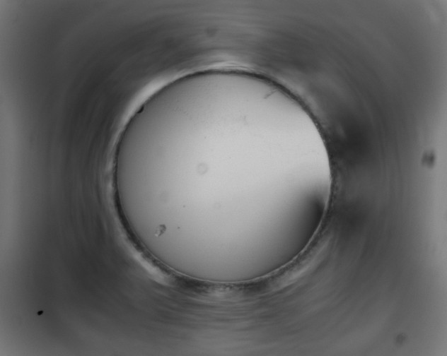 X0000101391375200807141123