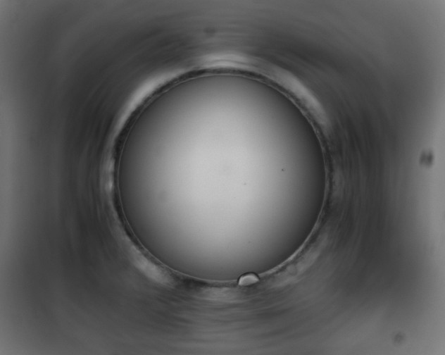 X0000101391376200807141123