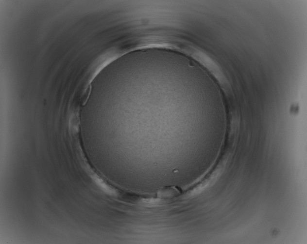 X0000101391377200807141123