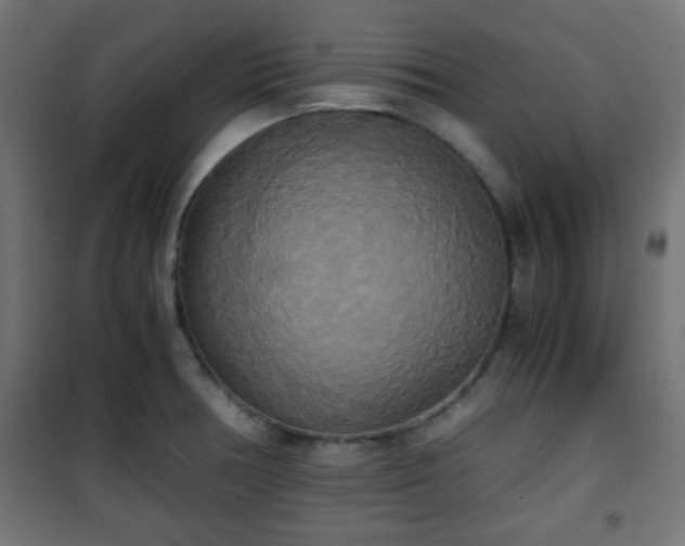 X0000101391378200807141123