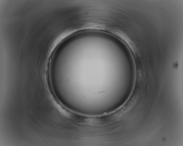 X0000101391379200807141123