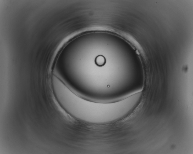 X0000101391380200807141123