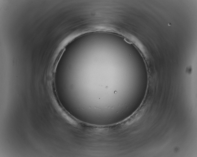 X0000101391381200807141123