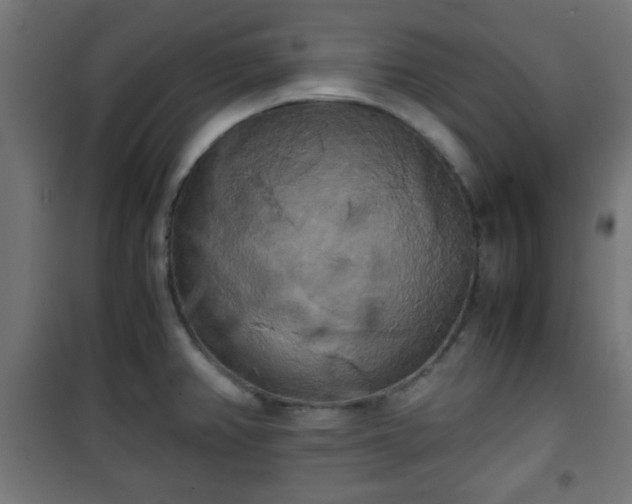 X0000101391382200807141122