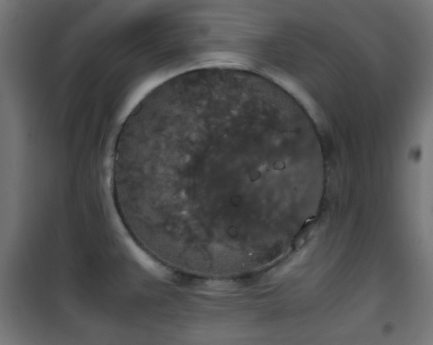 X0000101391383200807141122