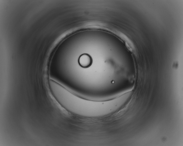 X0000101391384200807141122