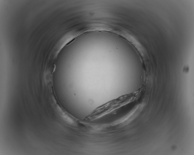 X0000101391385200807141122