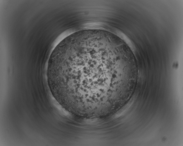 X0000101391386200807141122