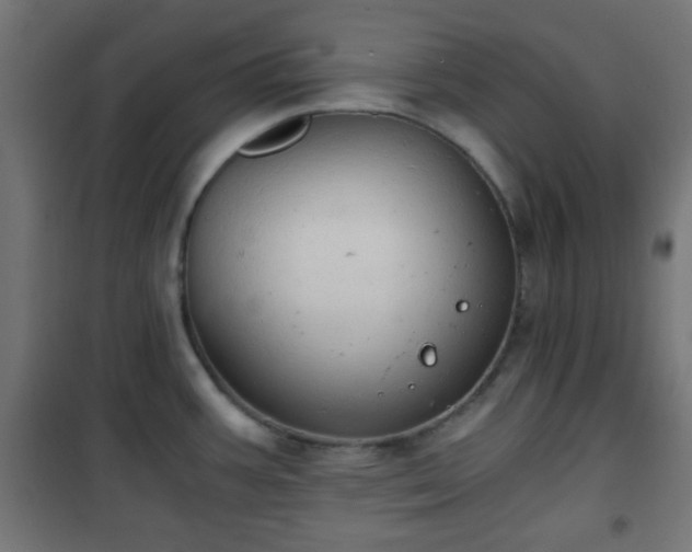 X0000101391387200807141122