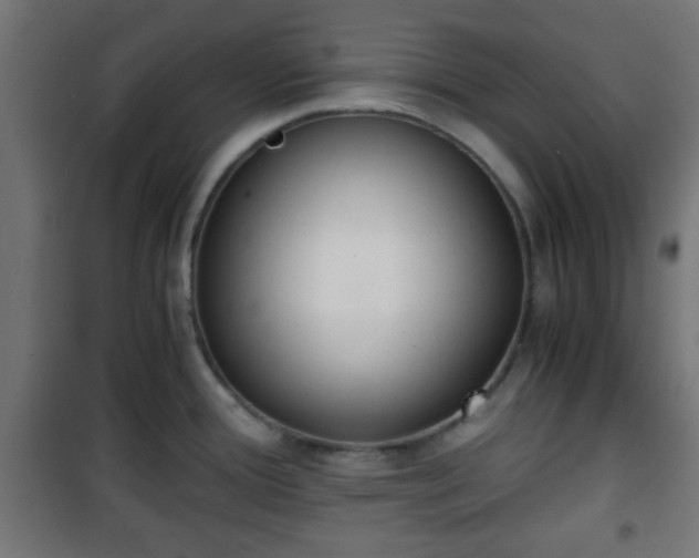 X0000101391388200807141122