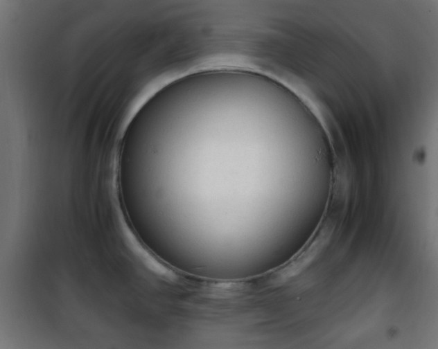 X0000101391390200807141122