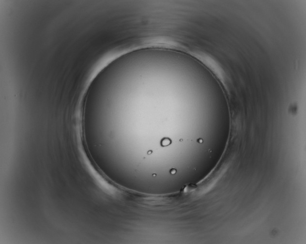 X0000101391391200807141122