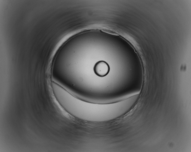 X0000101391392200807141122