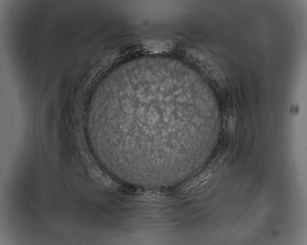 X0000101391393200807141122