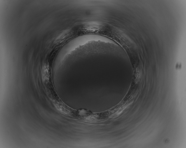 X0000101391394200807141122