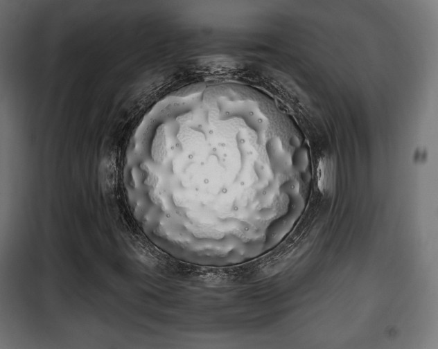 X0000101391395200807141122