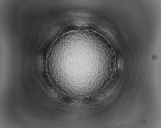 X0000101391396200807141122