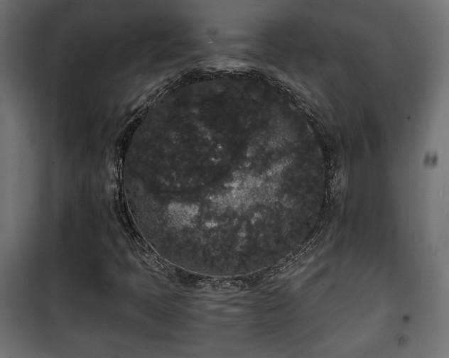 X0000101391397200807141122