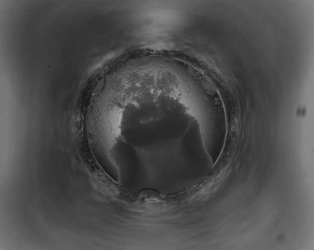 X0000101391398200807141122