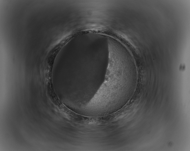 X0000101391399200807141122