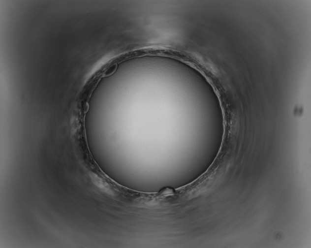 X0000101391400200807141122