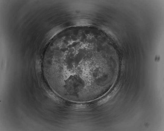 X0000101391401200807141122