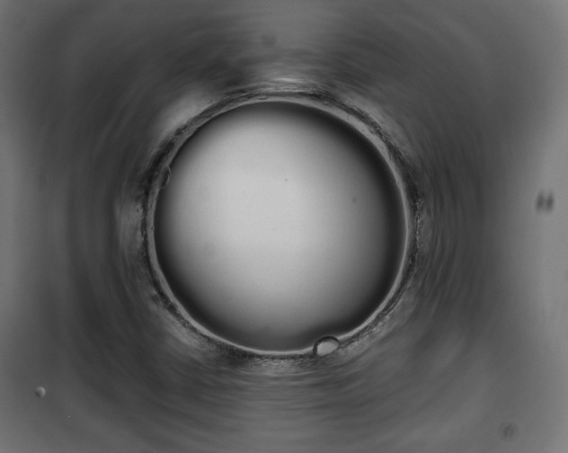 X0000101391402200807141122