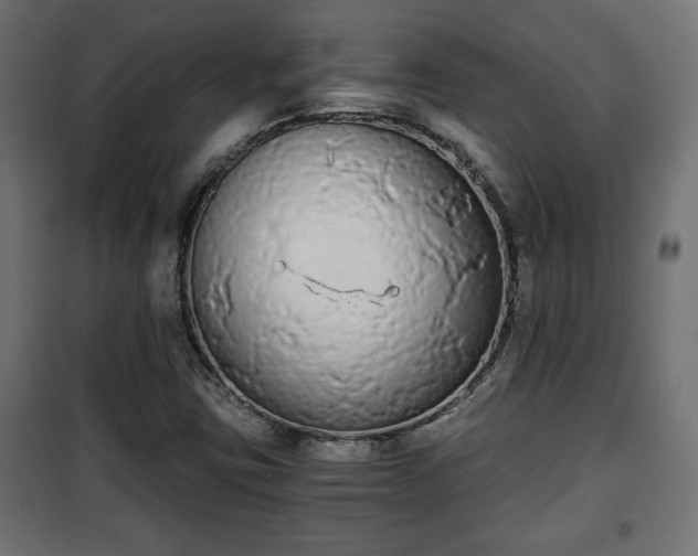 X0000101391403200807141122