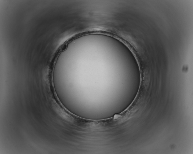 X0000101391404200807141122