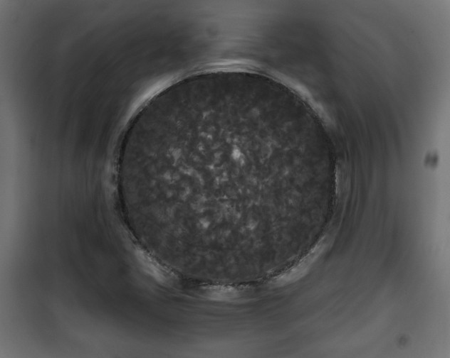 X0000101391405200807141122