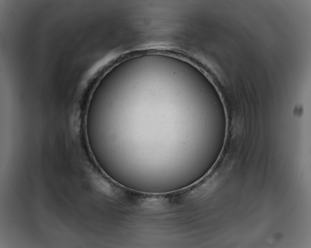 X0000101391406200807141122