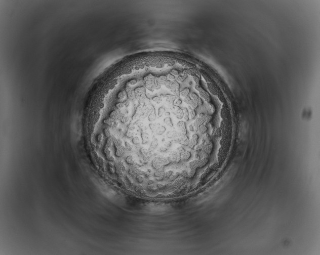 X0000101391407200807141122