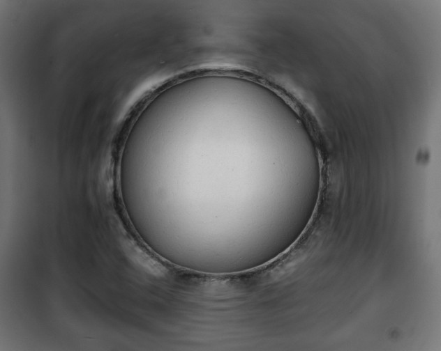 X0000101391408200807141122