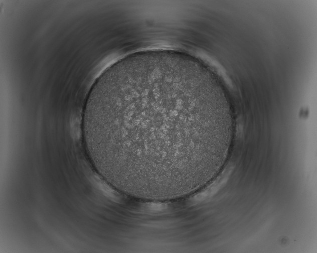 X0000101391409200807141122