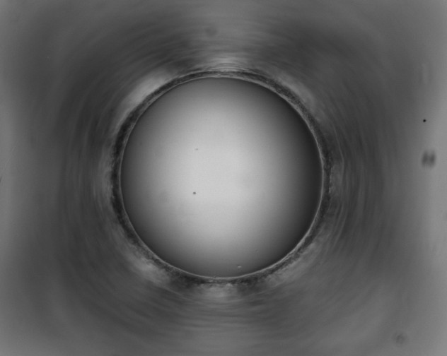 X0000101391410200807141122