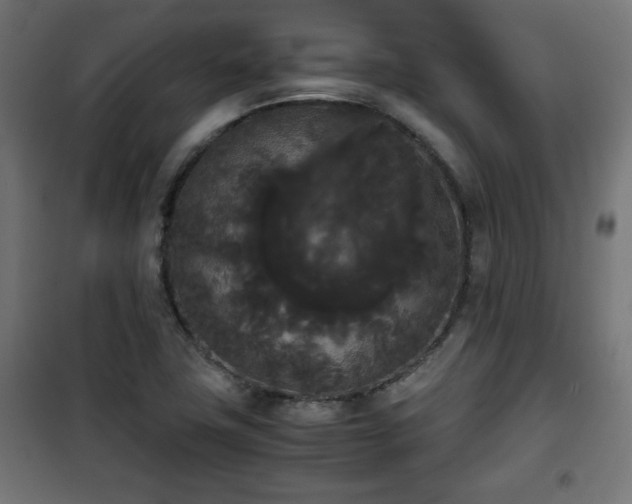 X0000101391411200807141122