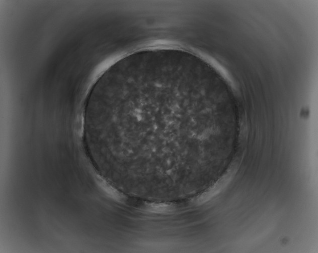 X0000101391413200807141122