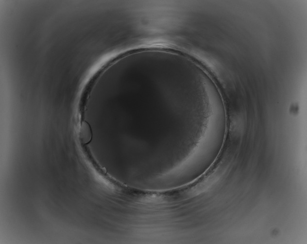 X0000101391414200807141122