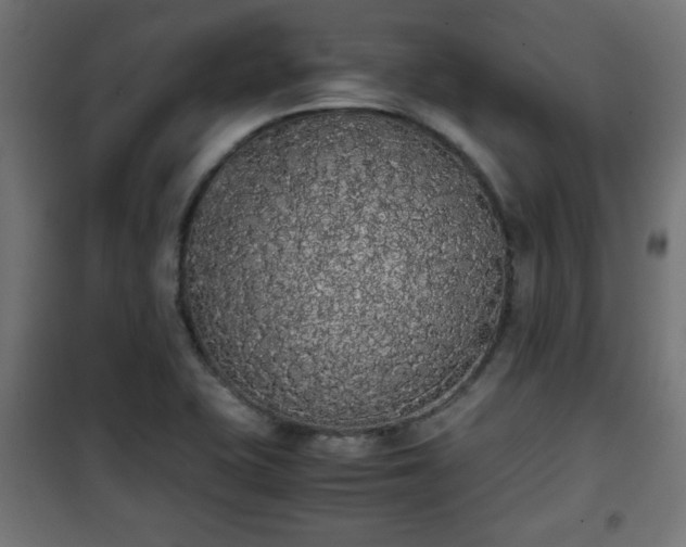 X0000101391415200807141122