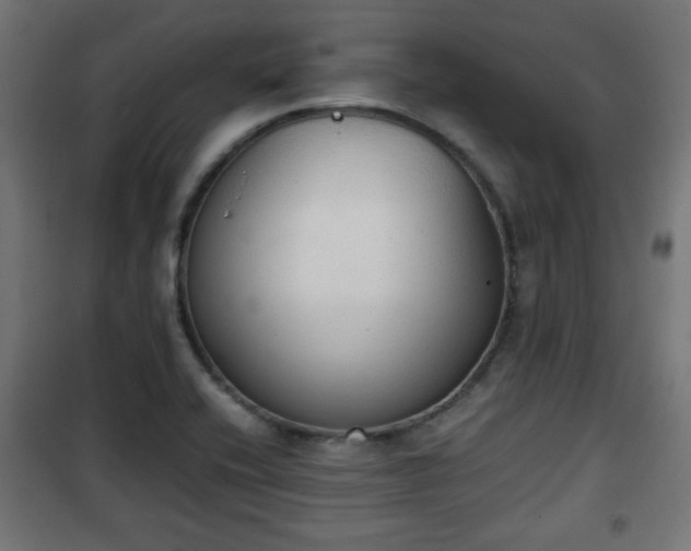 X0000101391416200807141122