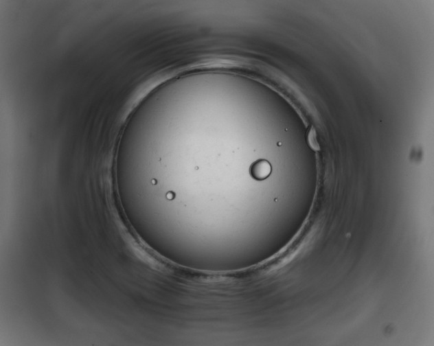 X0000101391417200807141122